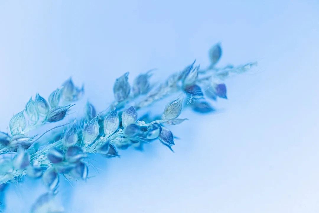 基于Spring Cloud微服务架构的软件开发项目实施方案设计